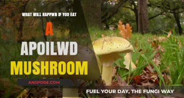 Toxic Consequences: What Happens When You Eat a Poisonous Mushroom?