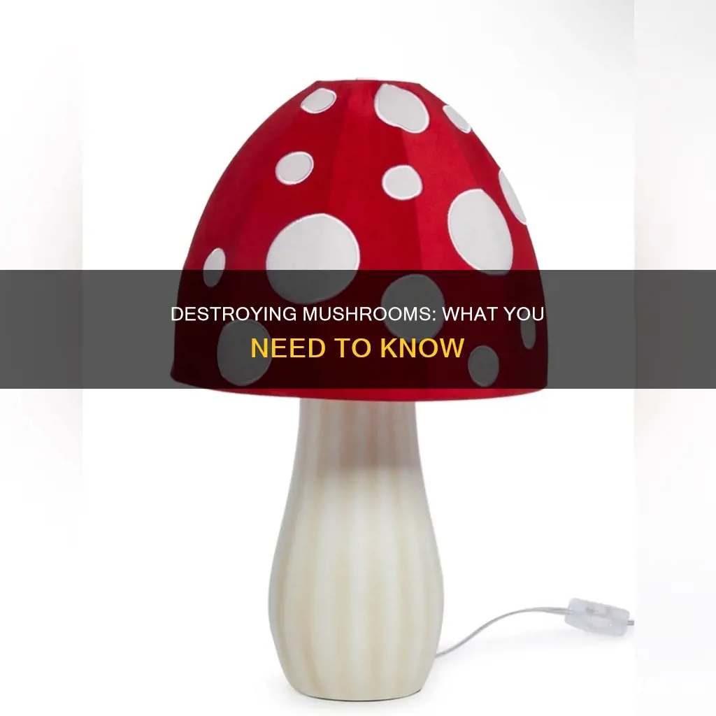 what will kill mushrooms