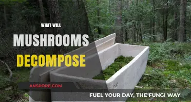 Mushrooms: Nature's Decomposers Unveiled