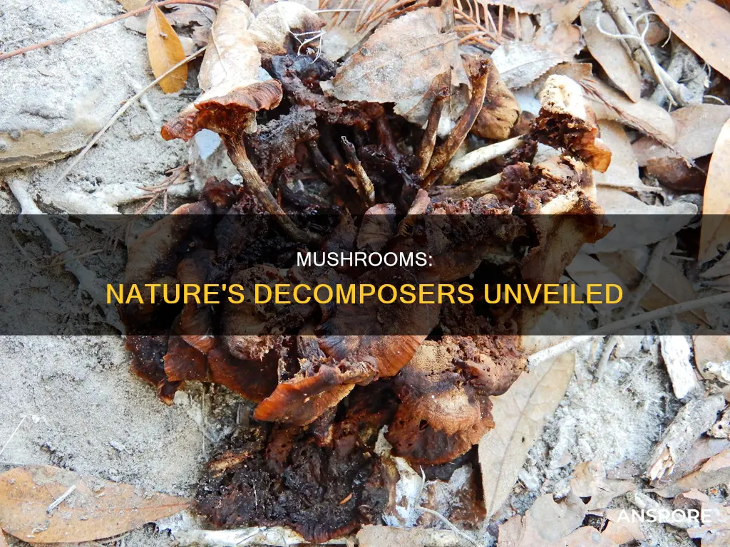 what will mushrooms decompose