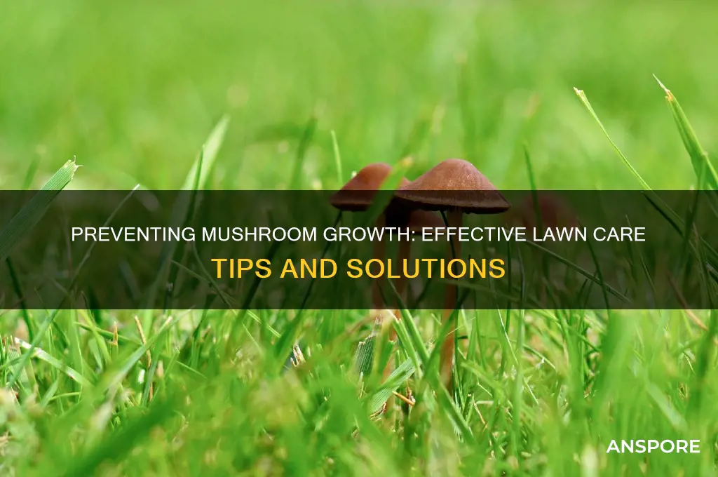 what will stop mushrooms growing on my lawn