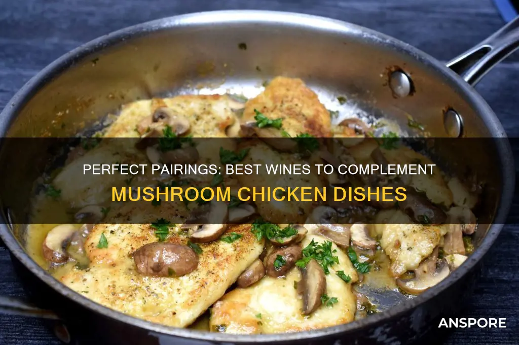 what wine goes good with mushroom chicken