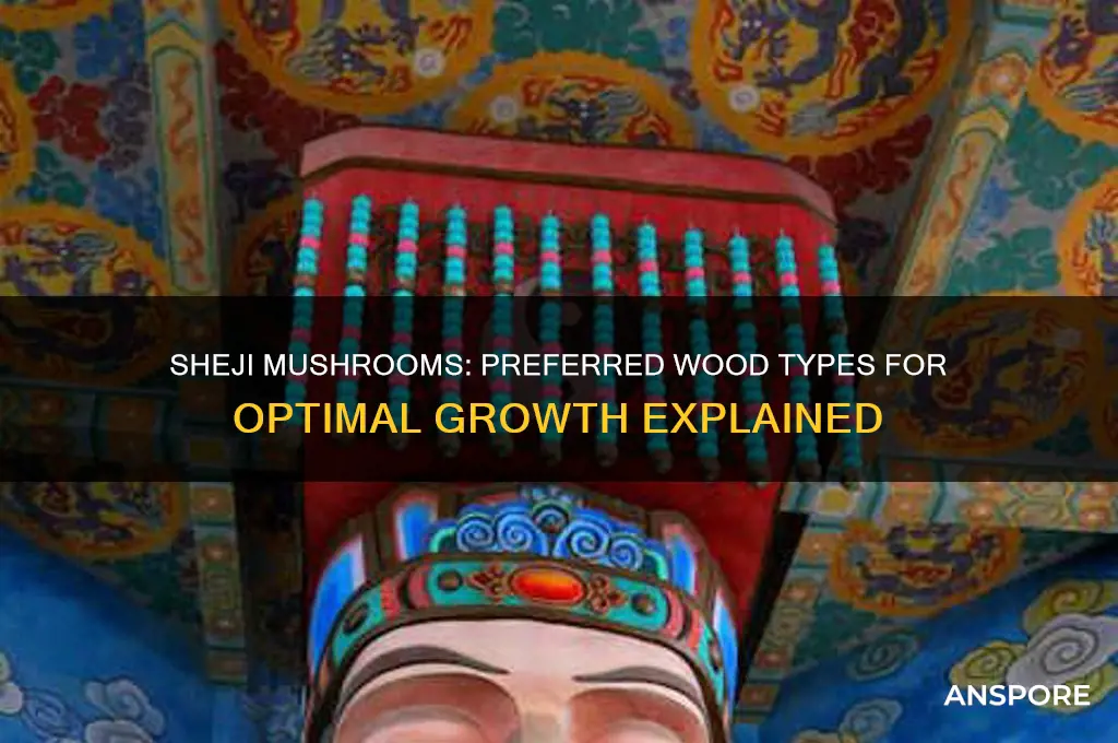 what wood do sheji mushrooms grow on