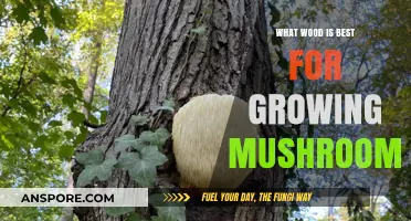 Best Wood Types for Mushroom Cultivation: A Comprehensive Guide