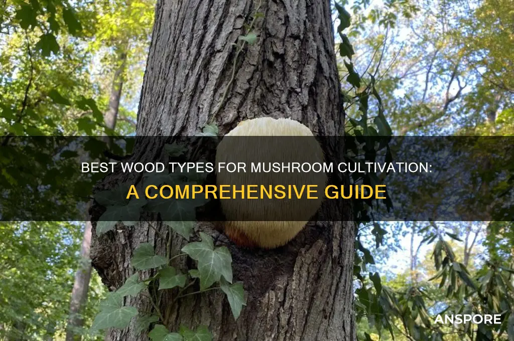 what wood is best for growing mushrooms