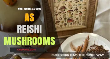 Natural Alternatives to Reishi Mushrooms for Optimal Health and Wellness