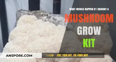Growing Gourmet Mushrooms at Home: My Experience with a Grow Kit