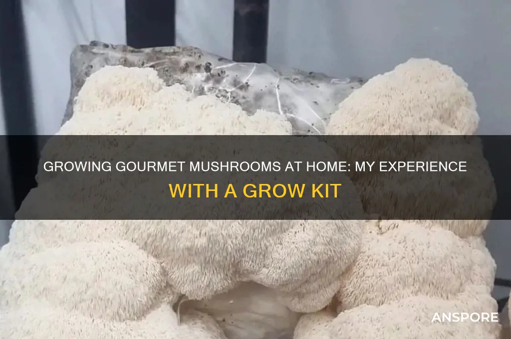 what would happen if i bought a mushroom grow kit