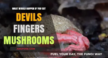 Eating Devil's Fingers Mushrooms: Risks, Symptoms, and Potential Dangers