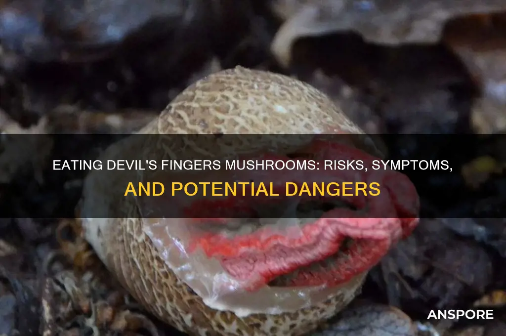 what would happen if you eat devils fingers mushrooms