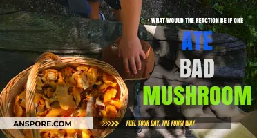 Toxic Mushroom Reactions: Symptoms, Risks, and Emergency Responses Explained