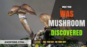 Mushroom's Ancient Discovery: A Historical Food Mystery