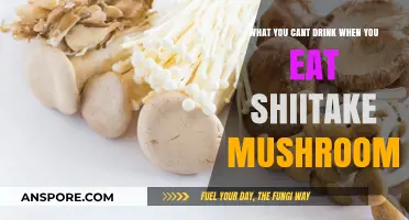 Avoid These Drinks When Enjoying Shiitake Mushrooms for Optimal Health