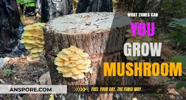 Discover Ideal Zones for Growing Mushrooms: A Comprehensive Guide