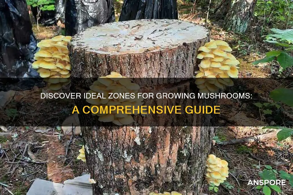 what zones can you grow mushrooms