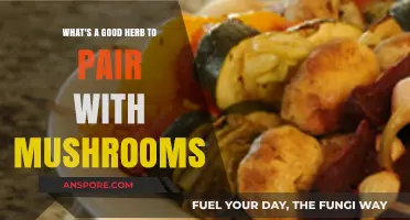 Enhance Your Mushroom Dishes: Top Herbs for Flavorful Pairings