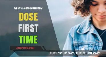 First-Time Mushroom Dose Guide: Safe and Effective Starting Amounts