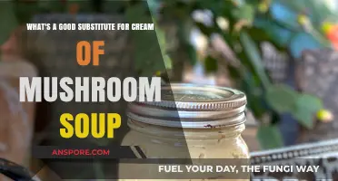 Cream of Mushroom Soup Alternatives: Healthy and Tasty Substitutes to Try