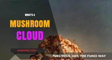 The Power of Mushroom Clouds: Understanding the Phenomenon