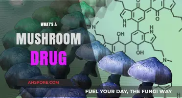 Mushroom Drugs: A Natural High