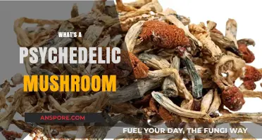 Psychedelic Mushrooms: Nature's Mind-Altering Fungi