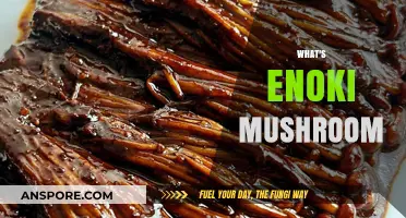 Enoki Mushrooms: What Are They?