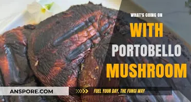 Portobello Mushrooms: Trends, Uses, and What's Happening Now