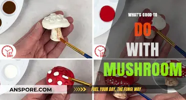 Creative Mushroom Uses: Cooking, Growing, and Health Benefits Explored