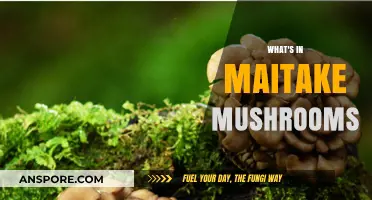 Maitake Mushrooms: Nutrition Facts and Health Benefits