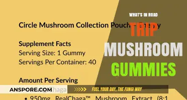 Exploring Road Trip Mushroom Gummies: Ingredients, Benefits, and Effects