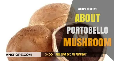 Portobello Mushrooms: Uncovering Potential Health Risks and Culinary Drawbacks