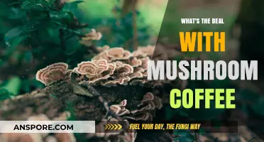Mushroom Coffee Craze: Unveiling the Buzz Behind This Trendy Brew