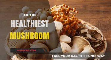 Mushroom Superfoods: Which is the Healthiest?