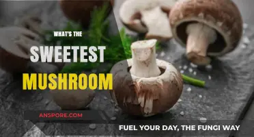 The Sweetest Mushroom: Nature's Candy