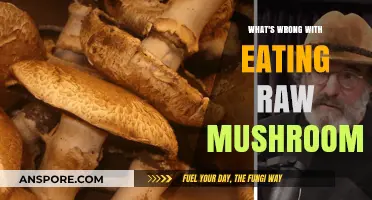 Raw Mushrooms: Hidden Dangers and Why Cooking is Crucial