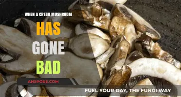 How to Tell When a Cremini Mushroom Has Spoiled: A Guide