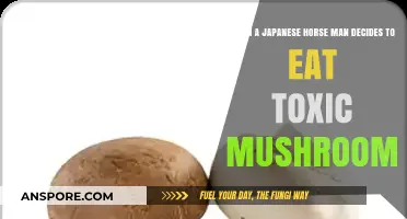 Toxic Mushrooms: A Japanese Horse Man's Perilous Culinary Misadventure