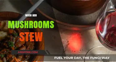 The Perfect Time to Add Mushrooms to Your Stew