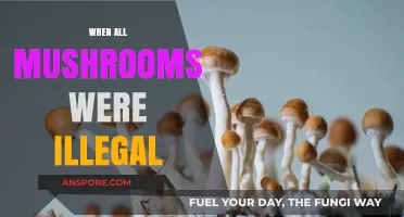 Mushroom Laws: A History of Prohibition