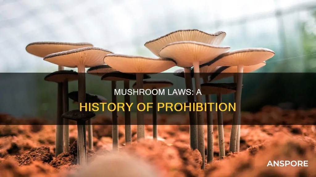 when all mushrooms were illegal