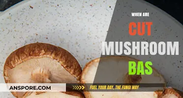 Mushrooms: When Are They Past Their Prime?