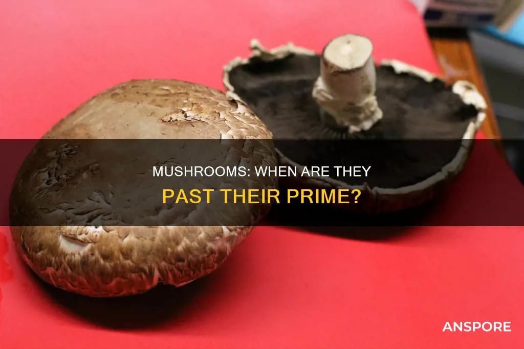 when are cut mushrooms bas