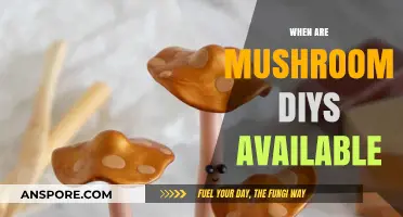Mushroom DIYs: Availability and How to Get Them