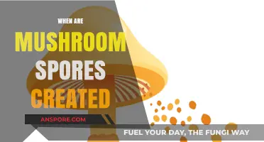 Mushroom Spores: When and How They're Created