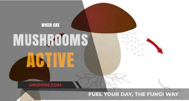 Mushroom Activity: Understanding the Prime Time