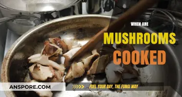 Perfectly Cooked Mushrooms: Timing Tips for Flavor and Texture