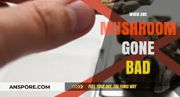 How to Tell When Mushrooms Have Gone Bad: A Guide