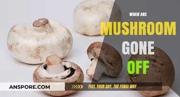 Mushroom Storage: How Long Do They Last?