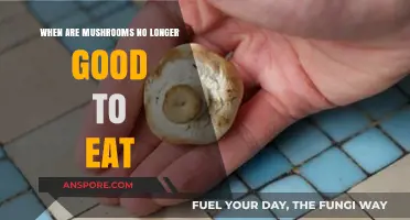 How to Tell When Mushrooms Are Spoiled and Unsafe to Eat