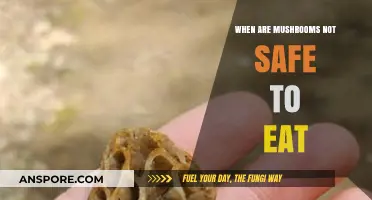 Toxic or Tasty: Identifying Unsafe Mushrooms to Avoid Poisoning